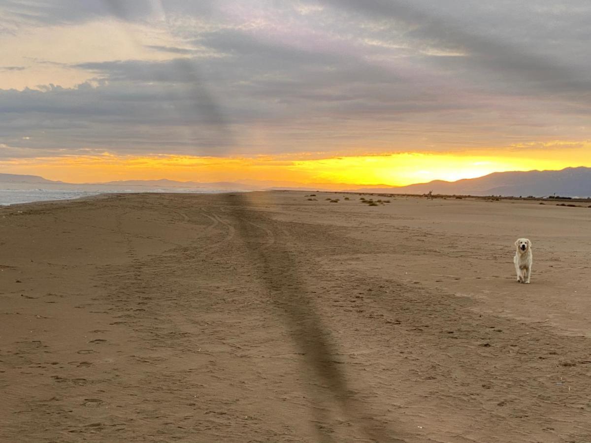 La Calma Del Delta Βίλα L'Eucaliptus Εξωτερικό φωτογραφία